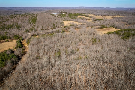 Prime 123.75 Ac. Property! - image 13