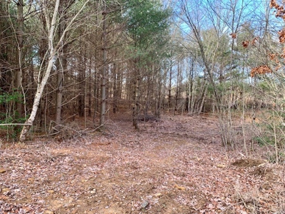 Prime 123.75 Ac. Property! - image 32