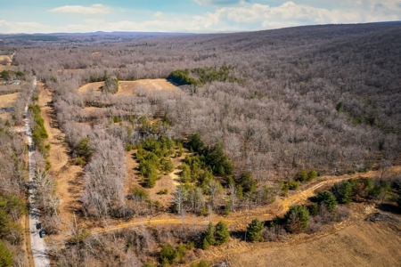 Prime 123.75 Ac. Property! - image 9