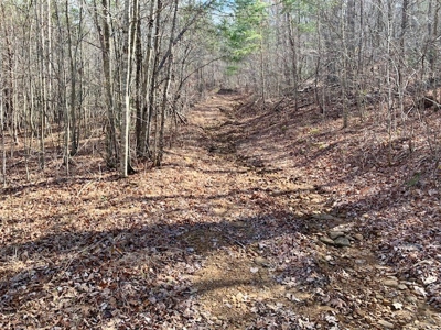 Prime 123.75 Ac. Property! - image 35