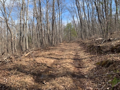 Prime 123.75 Ac. Property! - image 40