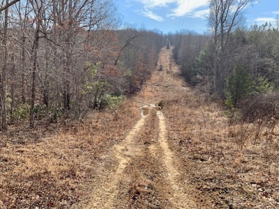 Prime 123.75 Ac. Property! - image 25