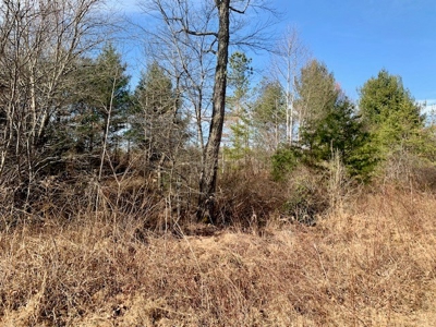 Prime 123.75 Ac. Property! - image 28