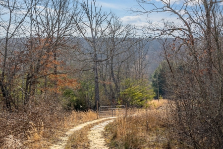 Prime 123.75 Ac. Property! - image 21
