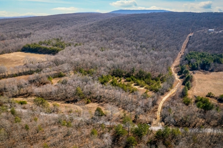 Prime 123.75 Ac. Property! - image 8