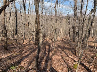 Prime 123.75 Ac. Property! - image 39