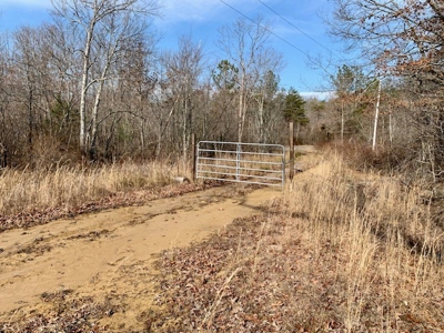 Prime 123.75 Ac. Property! - image 23