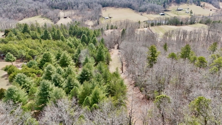 Recreational & Hunting Land for Sale in Bland County VA - image 20