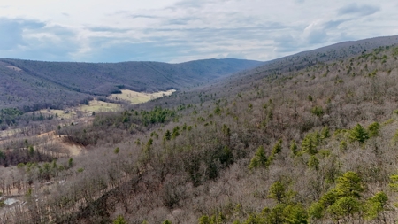 Recreational & Hunting Land for Sale in Bland County VA - image 23