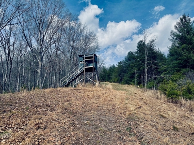 Recreational & Hunting Land for Sale in Bland County VA - image 13