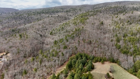 Recreational & Hunting Land for Sale in Bland County VA - image 3