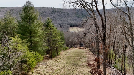 Recreational & Hunting Land for Sale in Bland County VA - image 2