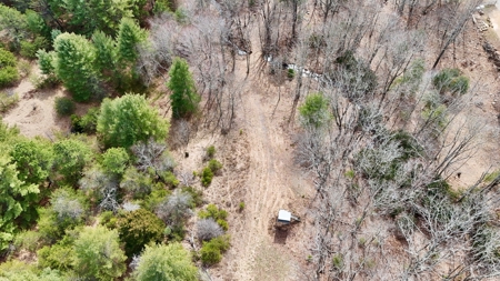 Recreational & Hunting Land for Sale in Bland County VA - image 9