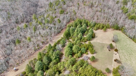 Recreational & Hunting Land for Sale in Bland County VA - image 7