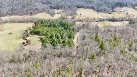 Recreational & Hunting Land for Sale in Bland County VA - image 1