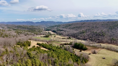 Recreational & Hunting Land for Sale in Bland County VA - image 11