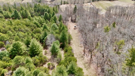 Recreational & Hunting Land for Sale in Bland County VA - image 5