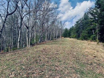 Recreational & Hunting Land for Sale in Bland County VA - image 14