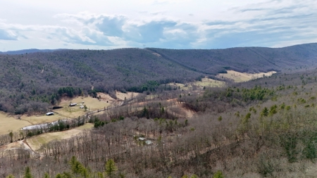 Recreational & Hunting Land for Sale in Bland County VA - image 10
