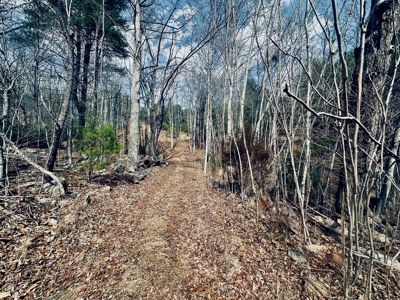 Recreational & Hunting Land for Sale in Bland County VA - image 17