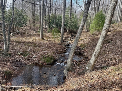 Recreational & Hunting Land for Sale in Bland County VA - image 18