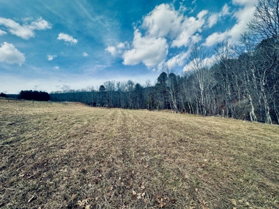 Recreational & Hunting Land for Sale in Bland County VA - image 12
