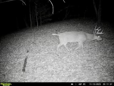 Recreational & Hunting Land for Sale in Bland County VA - image 27
