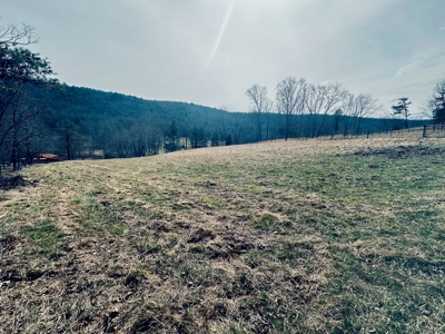 Recreational & Hunting Land for Sale in Bland County VA - image 8
