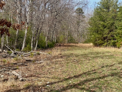 Recreational & Hunting Land for Sale in Bland County VA - image 4