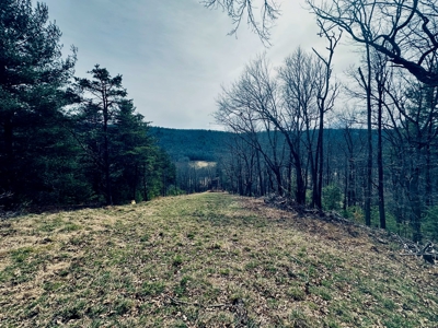 Recreational & Hunting Land for Sale in Bland County VA - image 24