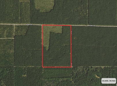 Town of Rome 60 acre timber lot for sale in Adams County WI - image 2