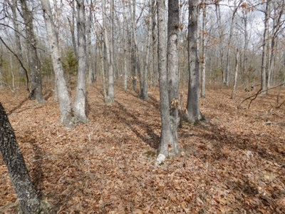 20+ Acres With View & Hunting For Sale Compton, Carroll Co. - image 7