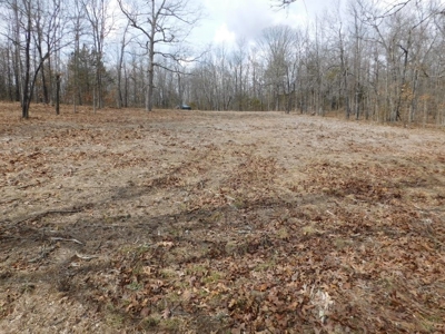 20+ Acres With View & Hunting For Sale Compton, Carroll Co. - image 3