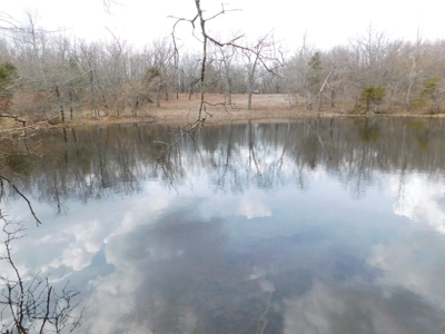 20+ Acres With View & Hunting For Sale Compton, Carroll Co. - image 6