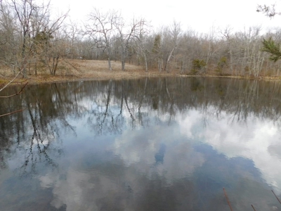 20+ Acres With View & Hunting For Sale Compton, Carroll Co. - image 5