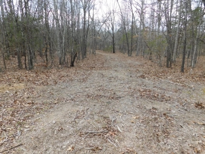 20+ Acres With View & Hunting For Sale Compton, Carroll Co. - image 11