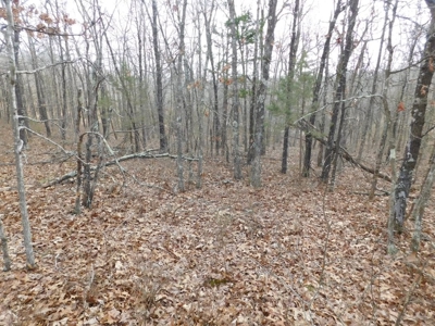 20+ Acres With View & Hunting For Sale Compton, Carroll Co. - image 8