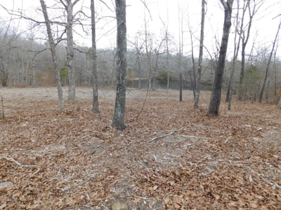 20+ Acres With View & Hunting For Sale Compton, Carroll Co. - image 9