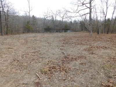 20+ Acres With View & Hunting For Sale Compton, Carroll Co. - image 10
