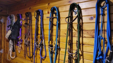Extraordinary Country Living Experience La Crosse County - image 41