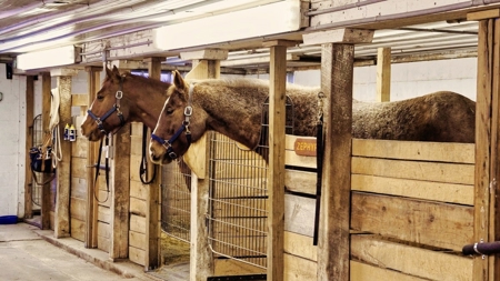 Extraordinary Country Living Experience La Crosse County - image 37