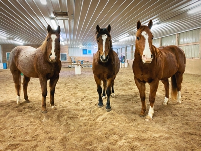 Extraordinary Country Living Experience La Crosse County - image 32