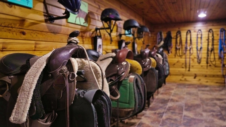 Extraordinary Country Living Experience La Crosse County - image 40