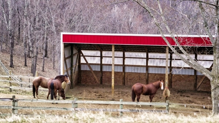 Extraordinary Country Living Experience La Crosse County - image 42