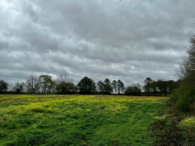 Land for sale Slocomb, AL - image 11