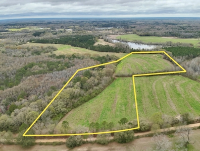 Land for sale Slocomb, AL - image 14