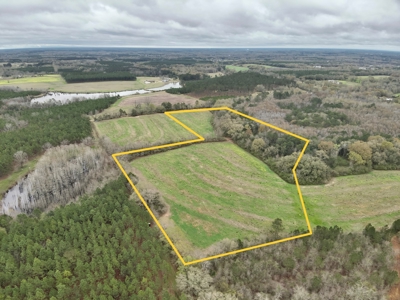 Land for sale Slocomb, AL - image 12