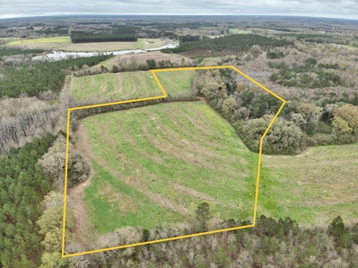 Land for sale Slocomb, AL - image 13