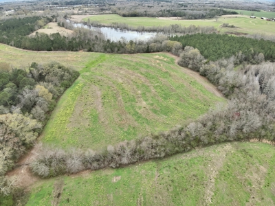 Land for sale Slocomb, AL - image 1