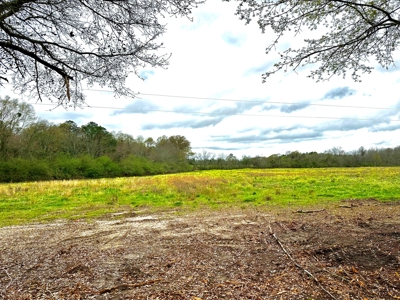 Land for sale Slocomb, AL - image 7